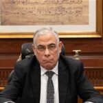 النيابة العامة تُحيل متهمة إلى المحاكمة الجنائية لنشرها أخبارًا كاذبة بشأن مستشفيات جامعة الإسكندرية