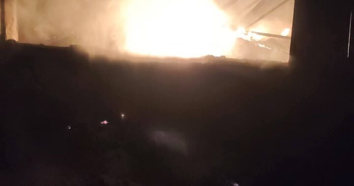 حريق هائل داخل مزرعة دواجن و نفوق 7 آلاف دجاجة بالمحلة