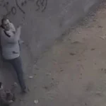 تفاصيل الاعتداء على أب وابنه بخرطوش بالقليوبية..تعدوا عليهم بعد التراويح