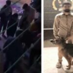 القبض على المتهم بترويع المارة بكلب فى الإسكندرية