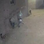 القبض على المتهمين بالاعتداء على أب ونجله بقرية باسوس في القليوبية