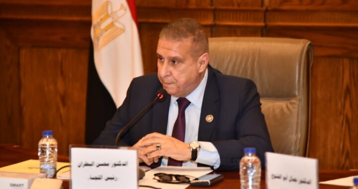 رئيس زراعة الشيوخ: لدينا مخزون استراتيجي من السلع ووحدة المصريين خلف الرئيس السيسي ضمانة عبور التحديات