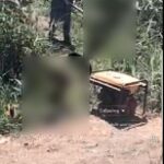 الأمن يكشف ملابسات فيديو صيد أسماك بالصعق الكهربائي بالفيوم وضبط المتورطين