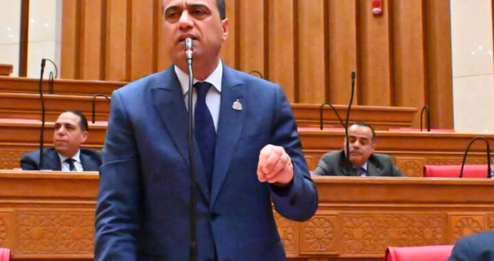 خلال الجلسة العامة للمجلس.. النائب ممدوح جاب الله يدعو للاستفادة من المنح ويطرح مطالب قرى حوش عيسي تحت القبة