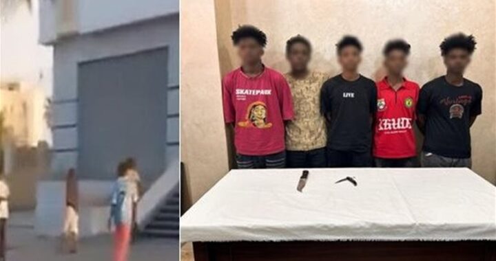 القبض على 5 صبية بالمنوفية بعد رشق سيارات بالحجارة