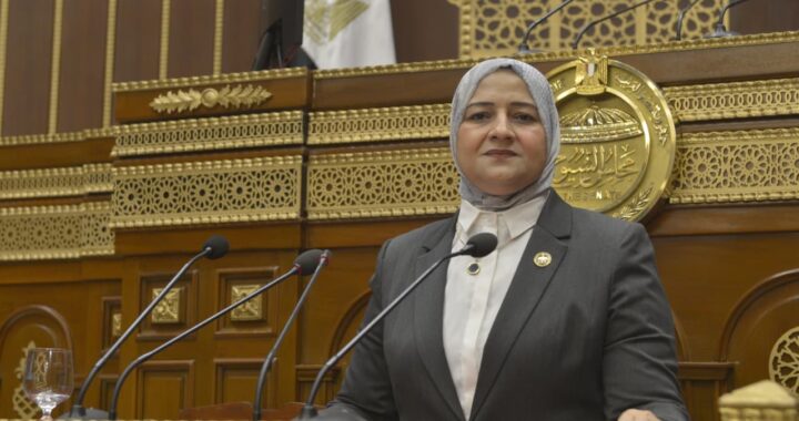 النائبه مروة قنصوه: لقاء السيسي ومحمد بن زايد يؤكد متانة العلاقات المصرية الإماراتية ووحدة الرؤى تجاه قضايا المنطقة