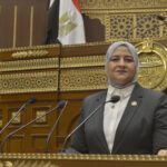 النائبة مروة قنصوه: قانون جهاز مستقبل مصر يعزز الأمن الغذائي والطاقة ويدعم مسيرة التنمية المستدامة