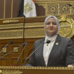 النائبه مروة قنصوة: تأسيس «الفجيرة العلمين للنفط والغاز» يعكس قوة الشراكة المصرية الإماراتية ويدعم مكانة مصر كمركز إقليمي لتجارة وتداول الطاقة
