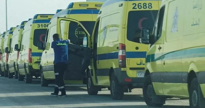 دخلوا حمام البنات بالخطأ.. إصابة شقيقين قفزا من الطابق الثانى بمدرسة فى الفيوم