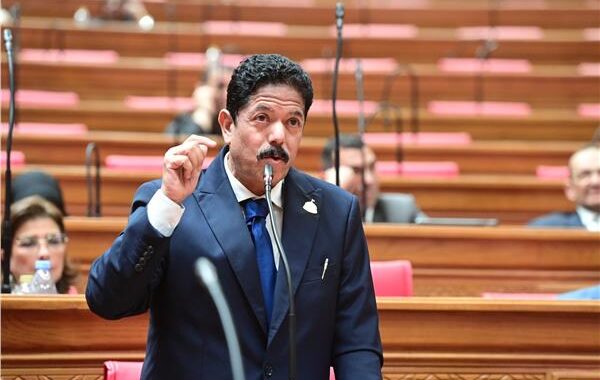الحديوي: زيارة الرئيس الصيني محطة تاريخية لتعميق الشراكة الاستراتيجية