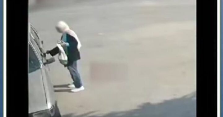 ركبت العربية الغلط، فيديو يتهم مدرسة بسرقة سيارة في التجمع الخامس
