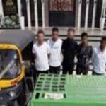 مصرع 4 عناصر شديدة الخطورة وضبط 750 كيلو مخدرات وأسلحة بـ102 مليون جنيه بالقليوبية